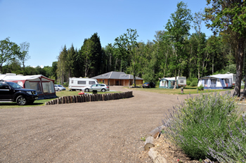 Whitefield Forest Touring Park