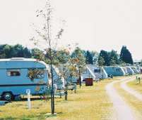 Kings Down Tail Caravan and Camping Park